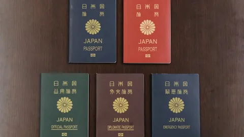 猛龙豪取篮网，巴恩斯15分克拉克斯顿22+11助球队止住篮网5连败势头