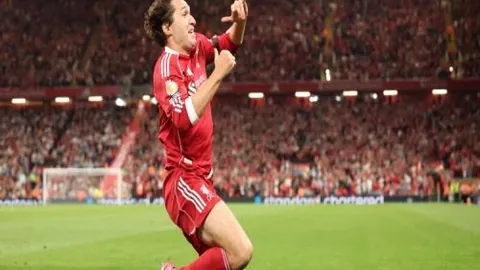 紐卡斯爾以2250萬英鎊及球員作價尋購埃弗頓後衛迪涅